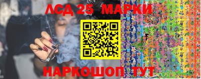 стаф Кунгур