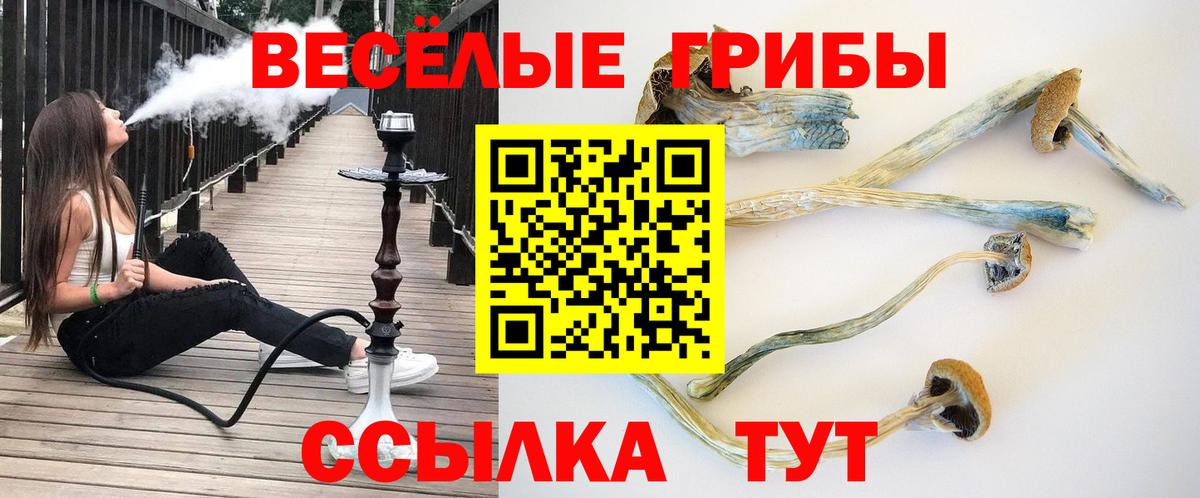 Псилоцибиновые грибы GOLDEN TEACHER Зеленодольск