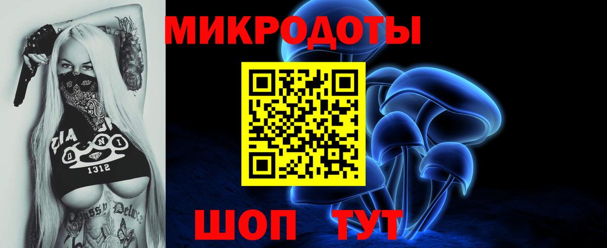 Галлюциногенные грибы прущие грибы  Вход с VPN  Галлюциногенные грибы Psilocybe  Зеленодольск 
